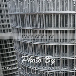 Welded Wire Mesh for Construction Building thumbnail-4