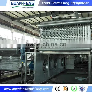 IQF Machine For Fruit Quick Freezing Freezer Commercial thumbnail-6