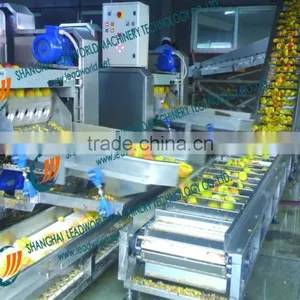 Vegetable Fruit Canned Food Canning Production Line thumbnail-5