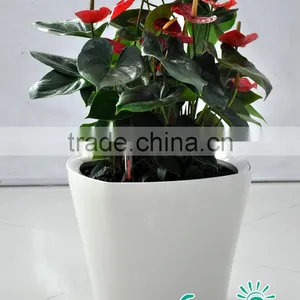 Smart Flower Pots for Artificial Flowers thumbnail-1