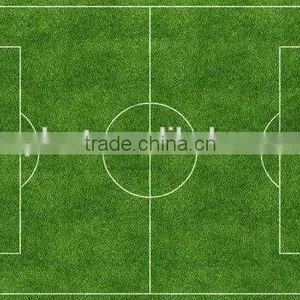 Hot Sale Sport Turfed Artificial Field Grass thumbnail-3
