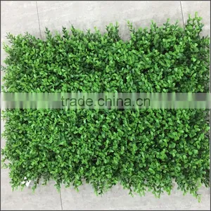 New Plastic Milan Boxwood Panel thumbnail-3