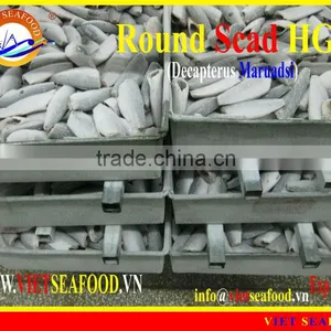 FROZEN ROUND SCAD HGT thumbnail-1