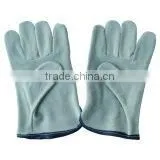Cow Leather Driver Glove ZM60-L thumbnail-1