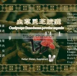 Cordyceps and Ganoderma Capsule,herbal Capsule,OEM Brand thumbnail-2