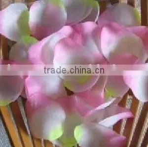 Wedding Rose Petals thumbnail-1
