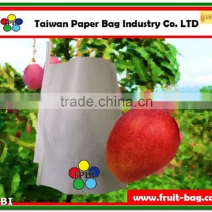 TPBI Taiwan Fruit Bag Mango White Protection Paper Bag Mango Bag Protection thumbnail-1