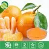 Orange Powder thumbnail-1