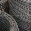 Wire Rod thumbnail-1