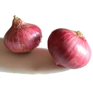 Wholesale New Fresh Red Onion With Good Price thumbnail-1