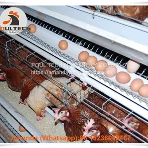 Libya Chicken Farming Hot Galvanized Cage & A Type Battery Laying Hen Cage & Layer Cage & Chicken Coop With 120 Birds thumbnail-1