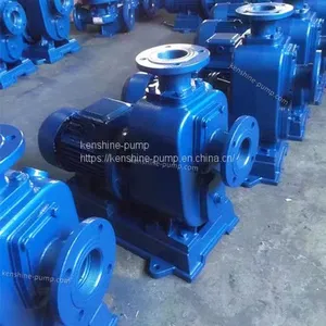 PW,PWF Horizontal Sewage Pump thumbnail-2
