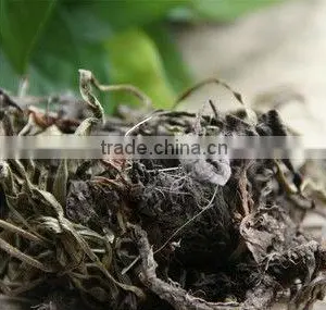 Spikenard, Rhizoma Nardostachyos,Food Seasoning thumbnail-1
