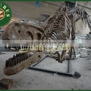 Lisaurus-JE the Dig Dinosaur Fossil Skeleton in Museum thumbnail-1