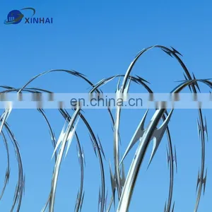 Barbed Wire thumbnail-5