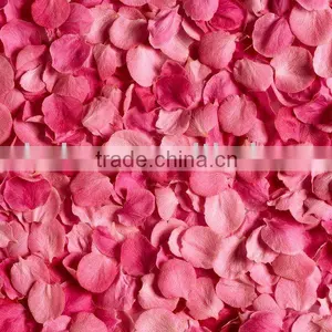 France Rose Aroma Bubble Bath Oil thumbnail-1
