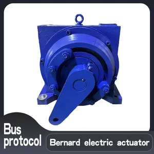 Angular Stroke Electric Actuator DKJ-6100AM Intelligent Electric Valve thumbnail-1