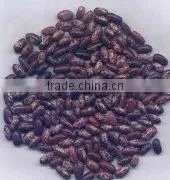 Chinese Purple Speckled Kidney Beans thumbnail-1