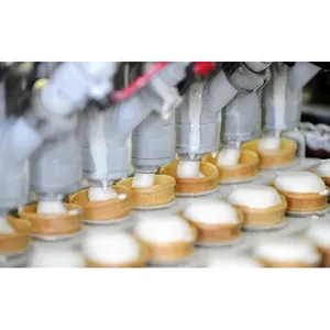 Industrial Cup Ice Cream Production Line thumbnail-3