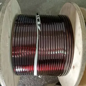 High Resistance Solid Copper Enamelled Winding Wire Coil 600V Rated Rectangular Shape IP67 155-220C 1.5-22mm WanZhou Brand Model thumbnail-1