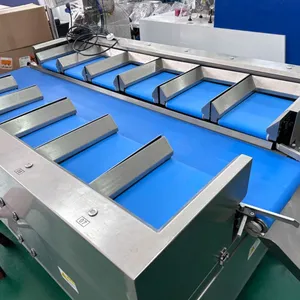 12 Heads Linear Combination Weigher for Pork Meat Fish Sausage Meat Food Belt Conveyor Weigher thumbnail-2