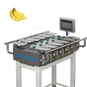 Manual 12 Heads 14 Heads Weighing Scale for Banana Apple Mango Fruit thumbnail-1