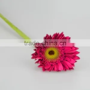 Factory Purple Petal Gerbera Fresh Flower thumbnail-4