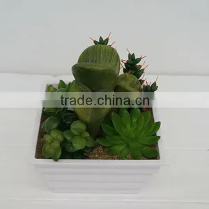 Latest Design Artificial Plants Artificial Succulent/cactus Arrangement Wholesale for Decorating thumbnail-1