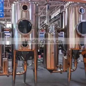 High Technology Stainless Steel SJN Series Double-Effect Energy-saving Concentrator thumbnail-3