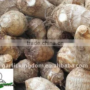 40g and up Fresh Taro thumbnail-1