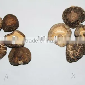 Dried Shiitake (Black Surface ) Thin thumbnail-1