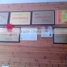 Yiwu Dasheng Rubber And Plastic Products Co., Ltd. company overview - view 3 thumbnail