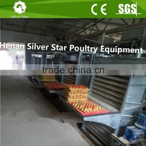 Automatic Chicken Egg Collecting Machine for Farm thumbnail-1