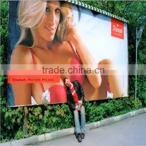 500*500D, 340g Printing Materials Flex Banner, Flex Advertisement Banner thumbnail-4