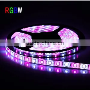 Decorative LED Rope Light RGBW 4color in One Strip 12V 24V Available thumbnail-3