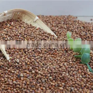 2016 Non-GMO Organic Glutinous Red Sorghum Sticky Sorghum thumbnail-2