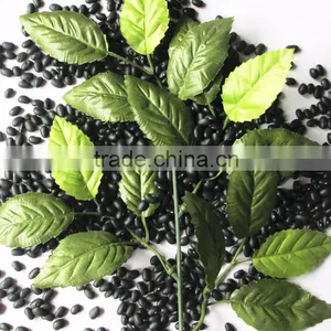 Dired China Bean for Sale in for Black Bean for Sale thumbnail-6