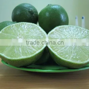 Fresh Lime High Quality and Best Price From Vietnam thumbnail-1