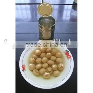 Canned Whole Mushroom thumbnail-1
