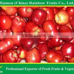 Red Delicious Apples thumbnail-1