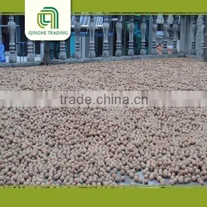 Raw Walnut With Shell and Walnut Kernels Sorting for Sale thumbnail-3