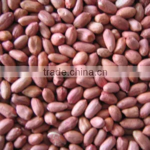 New Crop Peanut Kernel thumbnail-1