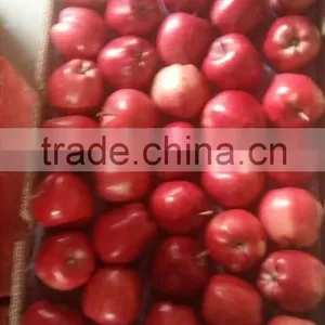 2016 Red Delicious Huaniu Apple thumbnail-2