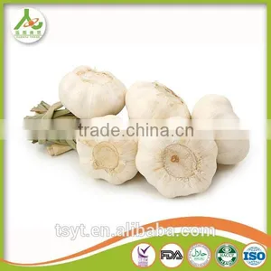Bulk in Different Packing Fresh Garlic Garlic White Garlic thumbnail-2