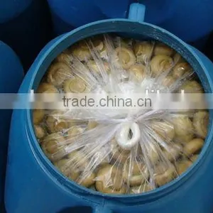 Mushroom in Brine(45kg/dram) thumbnail-1
