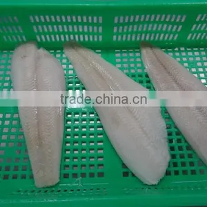 Wholesale Frozen Greenland Halibut Fish Fillet thumbnail-1