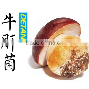 High Quality Porcini Dried Mushroom thumbnail-6