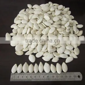 Roasted and Salted Pumpkin Seeds thumbnail-1