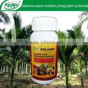 Liquid Fertilizer For Palm Tree thumbnail-1