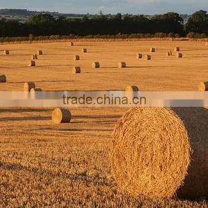 Neweek Agricultural Automatic Round Baler Machine for Grass thumbnail-6